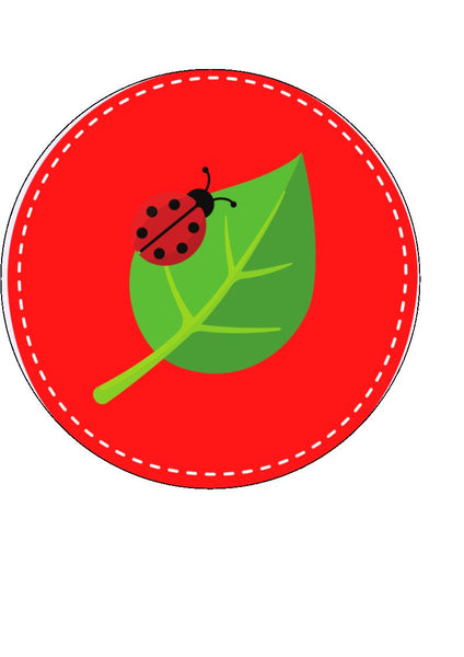 Ladybug/Ladybird Cake and Cupcake Toppers - Incredible Toppers