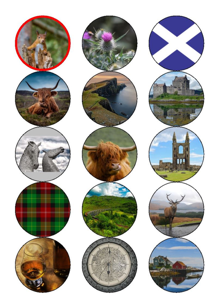 St Andrew's Day Mix Cupcake Toppers