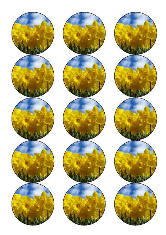 St David's Day Daffodils Edible Cake & Cupcake Toppers