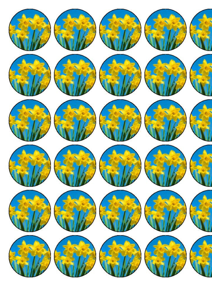 St David's Day Daffodils Edible Cake & Cupcake Toppers