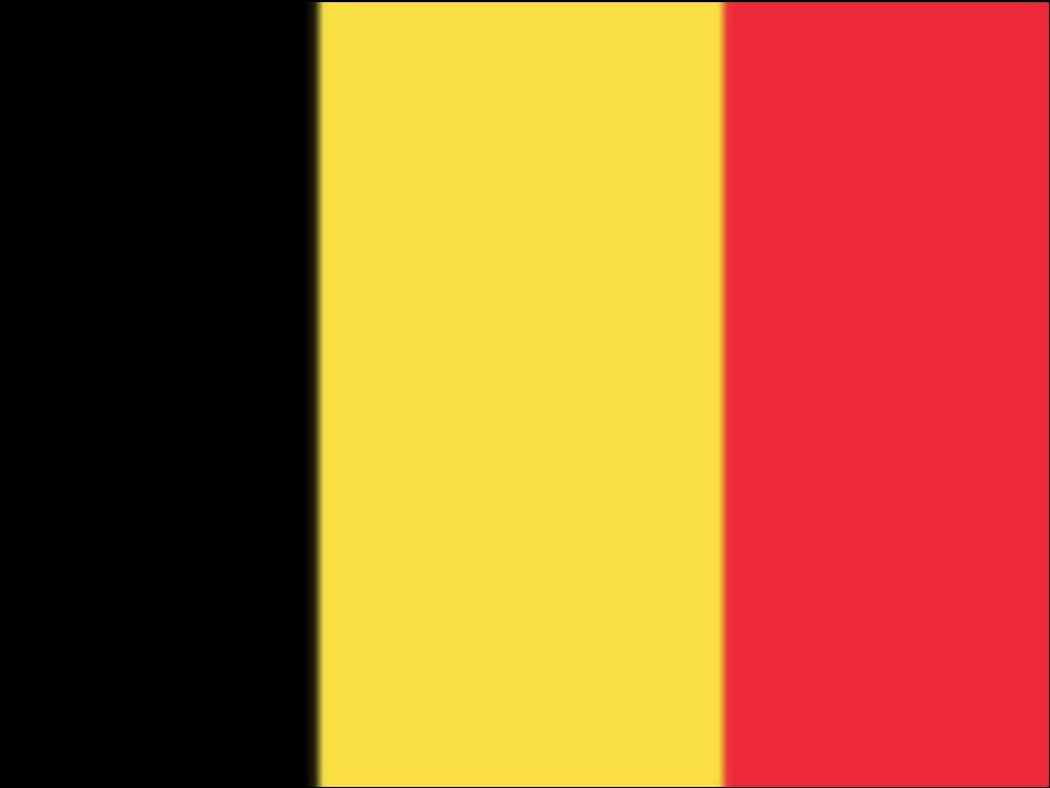 Belgium Flag - Edible Cake & Cupcake Toppers