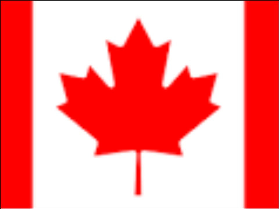 Canada Cake & Cupcake Toppers