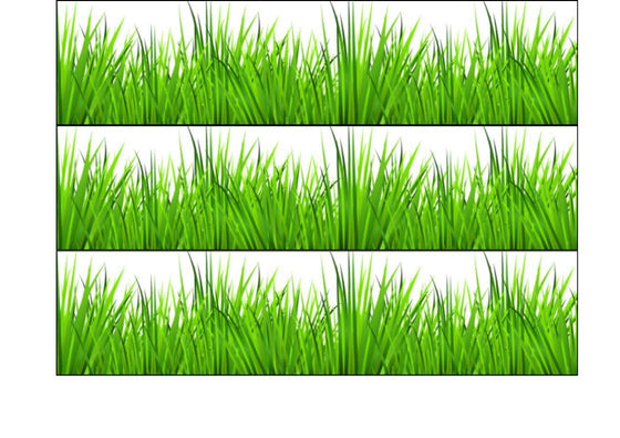 Cake Wrappers/Ribbons - Edible Fondant Strips - Grass